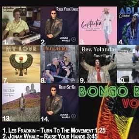 Bongo Boy Record Volume X1X  By Various Artist Album